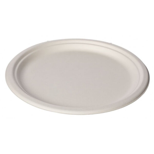 Тарелка из сахарного тростника фото